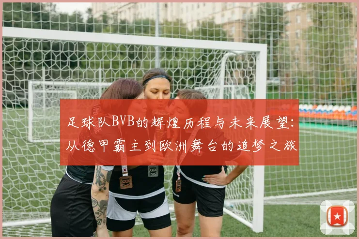 足球队BVB的辉煌历程与未来展望：从德甲霸主到欧洲舞台的追梦之旅